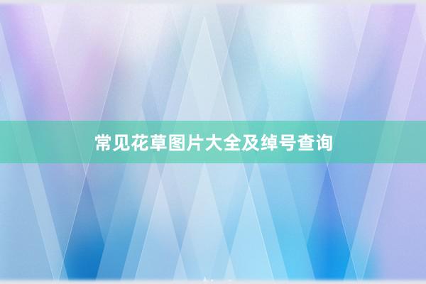 常见花草图片大全及绰号查询
